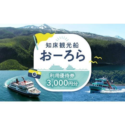 ふるさと納税 体験チケット 北海道 斜里町 知床観光船おーろら 利用優待券(3,000円分)|世界自然遺産 クルーズ 観光船 北海道 斜里町