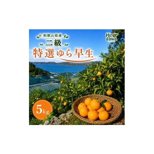ふるさと納税 果物類 みかん 和歌山県 広川町 特選 ゆら早生 二級品 5kg / 和歌山 有田 広川 ゆら早生 早生みかん 柑橘 果物 くだもの ギフト フルーツ 果実 …