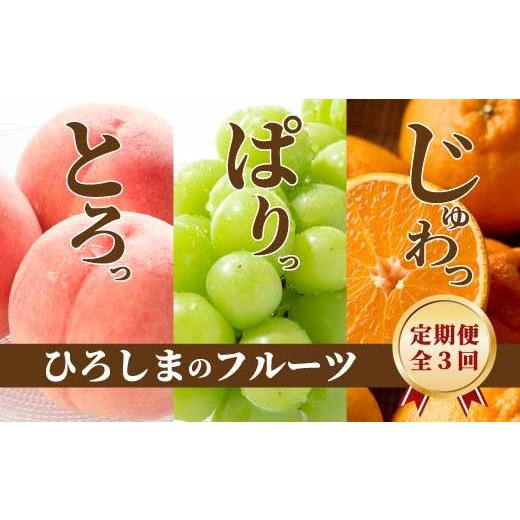 ふるさと納税 もも 広島県 三原市 三原・世羅共通返礼品 桃 シャインマスカット 不知火 (しらぬい)[全3回定期便]数量限定 先行受付 フルーツ 果物 くだもの…