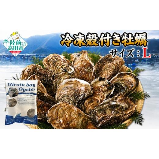 ふるさと納税 牡蠣 生牡蠣 岩手県 陸前高田市 サイズ:L 三陸産 冷凍殻付き牡蠣 1kg 生食用 旬の時期の牡蠣をまるごと冷凍 かき カキ 便利 料理 かき小屋広田…