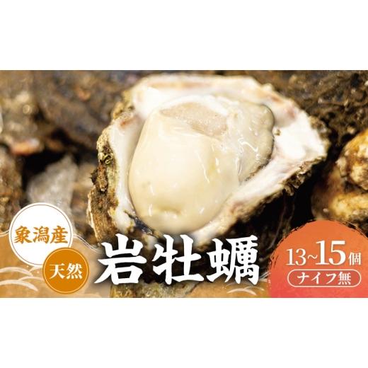 ふるさと納税 牡蠣 生牡蠣 秋田県 にかほ市  先行予約 7月上旬〜下旬発送予定 象潟産 天然岩牡蠣　13〜15個 ナイフ無 牡蠣 夏牡蠣 かき 象潟 生食可 魚介類 海…_1