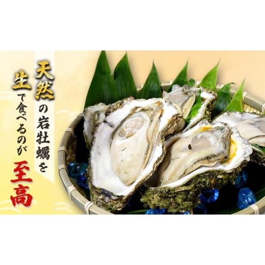 ふるさと納税 牡蠣 生牡蠣 秋田県 にかほ市  先行予約 7月上旬〜下旬発送予定 象潟産 天然岩牡蠣　13〜15個 ナイフ無 牡蠣 夏牡蠣 かき 象潟 生食可 魚介類 海…_3