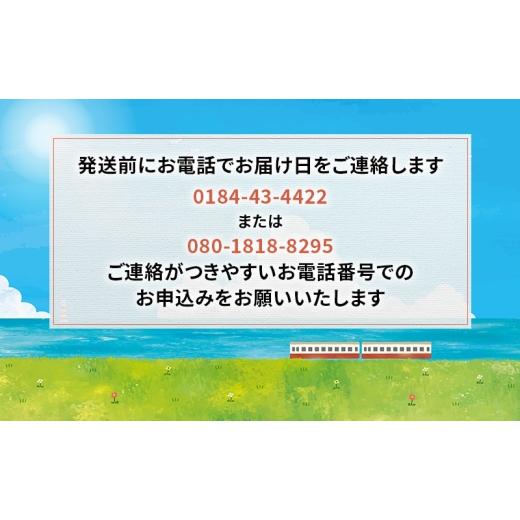 ふるさと納税 牡蠣 生牡蠣 秋田県 にかほ市  先行予約 7月上旬〜下旬発送予定 象潟産 天然岩牡蠣　13〜15個 ナイフ無 牡蠣 夏牡蠣 かき 象潟 生食可 魚介類 海…_5