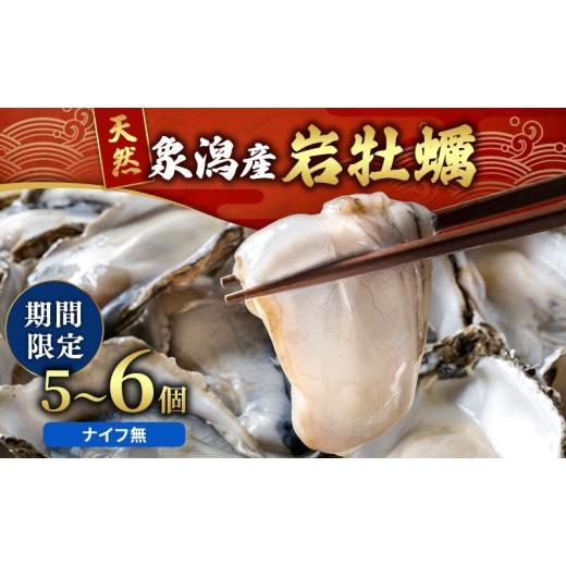 ふるさと納税 牡蠣 生牡蠣 秋田県 にかほ市 先行予約 7月上旬〜下旬発送予定 象潟産 天然岩牡蠣 5〜6個 ナイフ無 牡蠣 夏牡蠣 かき 象潟 生食可 魚介類 海鮮 …