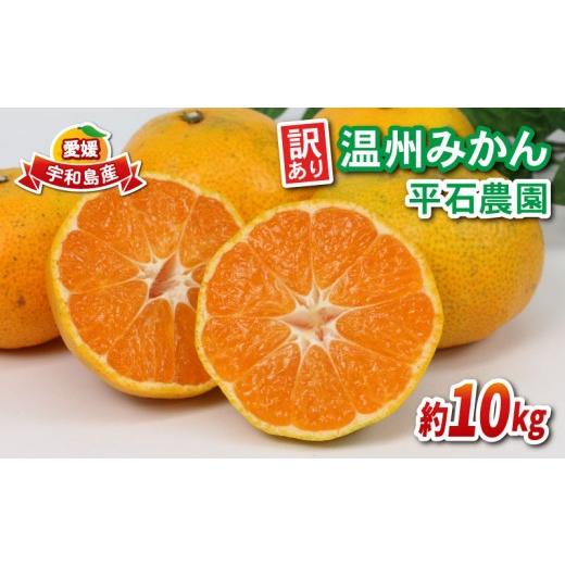 ふるさと納税 果物類 みかん 愛媛県 宇和島市 みかん 訳あり 温州みかん 10kg 平石農園 先行予約 温州 みかん 甘い 甘味 酸味 果物 くだもの フルーツ 柑橘 mi…