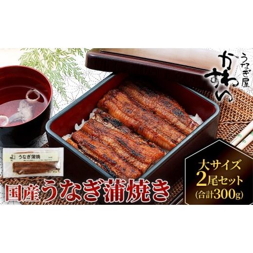 ふるさと納税 うなぎ 香川県 東かがわ市   国産うなぎ 蒲焼き 大サイズ 2尾セット(合計300g) タレ付き 国産 うなぎ ウナギ 鰻 蒲焼 かば焼き 2尾 …