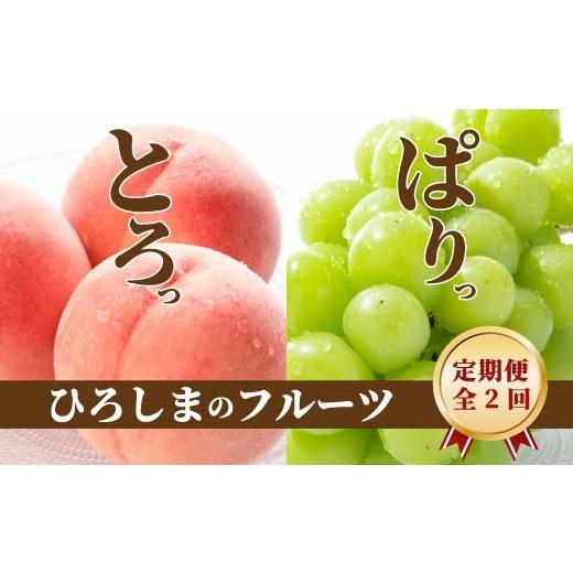 ふるさと納税 もも 広島県 三原市 三原・世羅共通返礼品 桃 シャインマスカット [全2回定期便]数量限定 先行受付 フルーツ 果物 くだもの 産地直送 ぶどう …