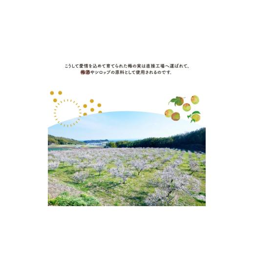 ふるさと納税 お酒 愛知県 南知多町 Kuni-Zakri FARM 知多露茜 梅原酒 720ml 21% × 6本 愛知県 南知多町 6本 : 90,000円_6