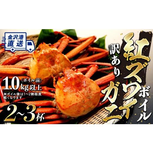 ふるさと納税 カニ ずわいガニ 石川県 金沢市 2026年12月発送 訳あり 金沢港より直送 ボイル紅ズワイガニ 2〜3杯セット カニ 姿 金沢市 北陸沖水揚げ 日本海 …