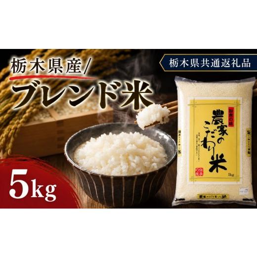 ふるさと納税 米 栃木県 矢板市 栃木県産 お米 白米 ブレンド米 5kg | 栃木県 矢板市 栃木県共通返礼品