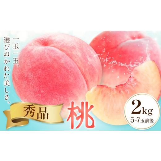 ふるさと納税 もも 和歌山県 紀の川市 桃 秀品 モモ 2kg (5-7玉前後) 株式会社農業福祉研究機構[6月下旬-8月上旬頃出荷]和歌山県 紀の川市 送料無料 フルー…