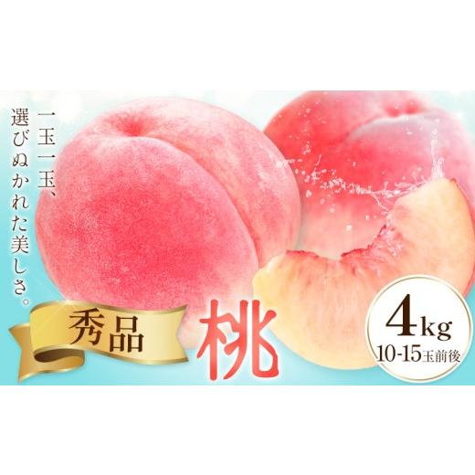 ふるさと納税 もも 和歌山県 紀の川市 桃 秀品 モモ 4kg (10-15玉前後) 株式会社農業福祉研究機構[6月下旬-8月上旬頃出荷]和歌山県 紀の川市 送料無料 フル…