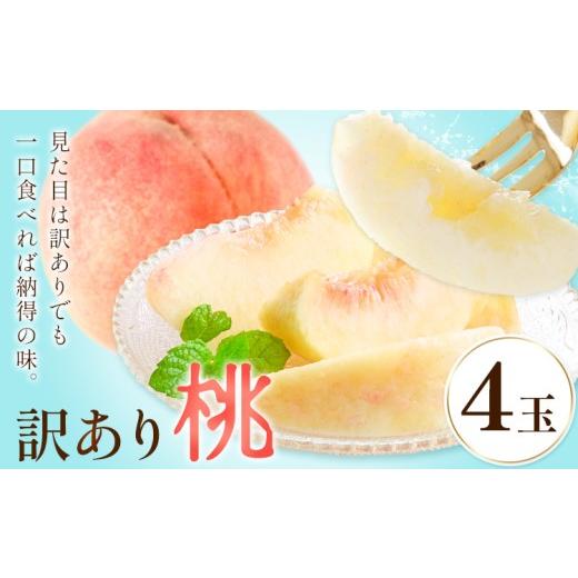 ふるさと納税 もも 和歌山県 紀の川市 訳あり 桃 モモ ご家庭用 4玉 株式会社農業福祉研究機構[6月下旬-8月上旬頃出荷]和歌山県 紀の川市 送料無料 フルーツ…