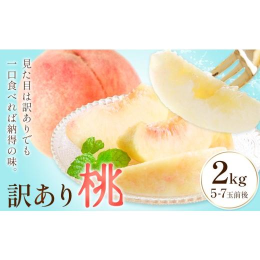 ふるさと納税 もも 和歌山県 紀の川市 訳あり 桃 モモ ご家庭用 2kg (5-7玉前後) 株式会社農業福祉研究機構[6月下旬-8月上旬頃出荷]和歌山県 紀の川市 送料…