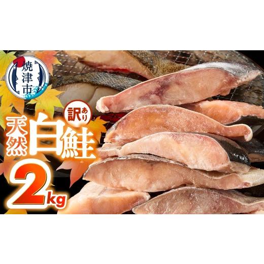 ふるさと納税 魚貝類 鮭 静岡県 焼津市 a15-714 訳あり 天然 白鮭 甘口 切身 約2kg 便利なジッパーバック入り