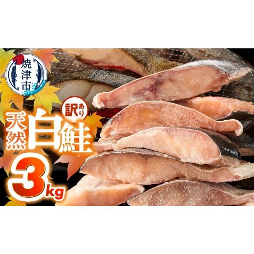 ふるさと納税 魚貝類 鮭 静岡県 焼津市 a20-488 訳あり 天然 白鮭 甘口 切身 約3kg 便利なジッパーバック入り