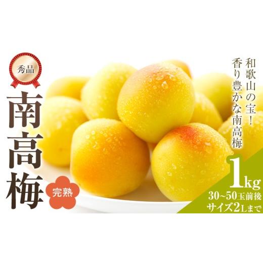 ふるさと納税 果物類 和歌山県 紀の川市 紀州南高梅 秀品(完熟) 2Lサイズまで 容量 1kg 和歌山県産 株式会社農業福祉研究機構[6月下旬-7月上旬頃出荷]和歌山…