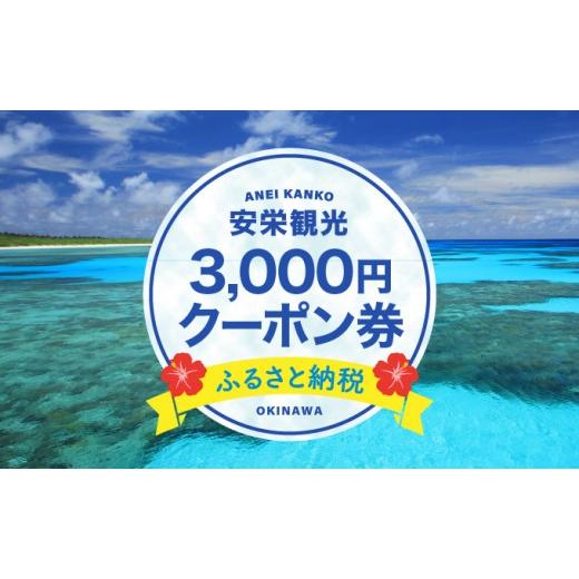 ふるさと納税 イベントやチケット等 沖縄県 竹富町 安栄観光 3,000円クーポン券 3,000円クーポン券