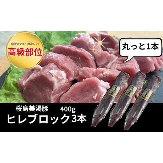 ふるさと納税 豚肉 ヒレ 鹿児島県 垂水市 A1-0446/桜島美湯豚 ヒレ肉 3本 (計1.2kg以上)
