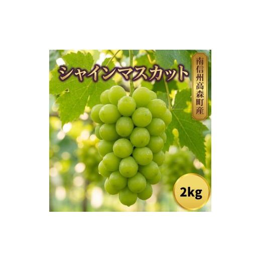 ふるさと納税 ぶどう 長野県 高森町 シャインマスカット2kg(3〜5房)