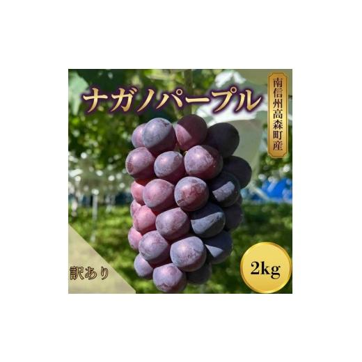 ふるさと納税 ぶどう 長野県 高森町 訳ありナガノパープル2kg
