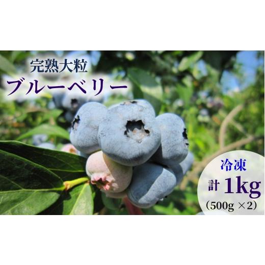 ふるさと納税 果物類 岩手県 盛岡市 先行予約 大粒 ブルーベリー 1kg(500g×2) 冷凍 詰め合わせ 8月以降発送 完熟 果汁 甘 酸味 人気 果物類 ブルーベリー フ…