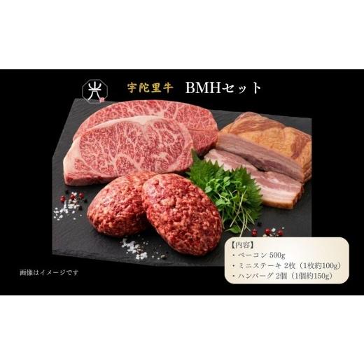 ふるさと納税 牛肉 サーロイン 奈良県 宇陀市 宇陀里牛 BMHセット(ベーコン500g・ミニステーキ2枚・ハンバーグ2個) / ふるさと納税 国産 黒毛和牛 牛肉 ス…