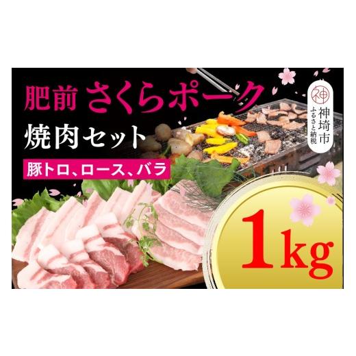 ふるさと納税 豚肉 ロース 佐賀県 神埼市 数量限定 肥前さくらポーク 焼肉セット 1kg 佐賀県産 豚肉セット 焼肉 トントロ バラ ロース 3種セット カット済み …