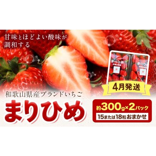 ふるさと納税 いちご 和歌山県 日高町 先行予約 2027年4月発送 和歌山県産ブランド いちご「まりひめ」約300g×2パック (15または18粒おまかせ) 日高町厳選館…