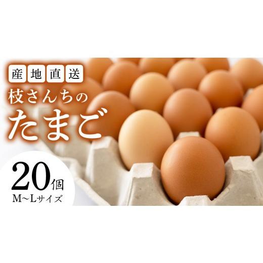 ふるさと納税 卵(鶏、烏骨鶏等) 茨城県 桜川市 枝さんちのたまご(M〜L20個) 産地直送 餌にこだわり 平飼いでのびのび育った卵 卵 非遺伝子組換え 7000 BT00…