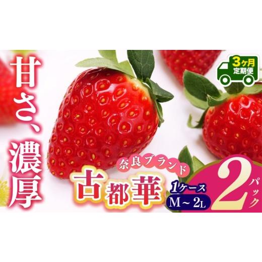 ふるさと納税 いちご 奈良県 平群町 定期便3回 いちご 平群の古都華 M〜2Lサイズ お任せ(2パック×1ケース)計2パック | 先行予約 フルーツ 果物 くだもの …