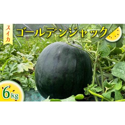 ふるさと納税 スイカ 茨城県 常総市 2026年産 スイカ ゴールデンジャック 6kg |茨城県産 産地直送 甘い あまい 種なし 2026年6月〜発送