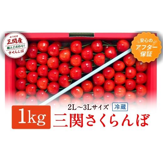 ふるさと納税 果物類 さくらんぼ 秋田県 湯沢市 三関さくらんぼ 3L/2Lサイズ 1000g (同)三関加敬農園