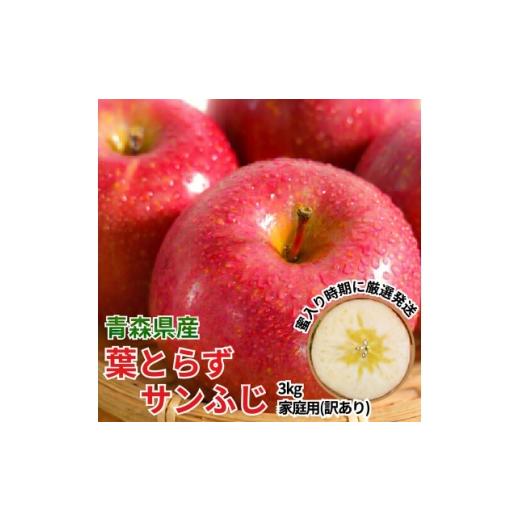 ふるさと納税 りんご 青森県 黒石市 11-12月蜜入り時期に発送 平均糖度13度以上 葉とらずサンふじ 約3kg 訳あり 青森 りんご 1740643