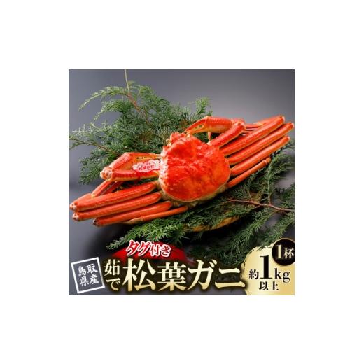 ふるさと納税 カニ 鳥取県 智頭町 先行予約 鳥取県産 タグ付き 茹松葉がに 1kg以上×1杯(中村商店)2027年1月末より順次発送 1648752