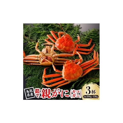 ふるさと納税 カニ 鳥取県 智頭町 先行予約 鳥取県産 茹 親がに(セコガニ)100〜130g×3杯 2026年11月発送 1654349