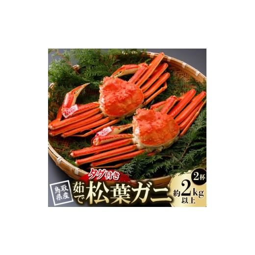 ふるさと納税 カニ ずわいガニ 鳥取県 智頭町 先行予約 鳥取県産 タグ付き 茹松葉がに 1kg以上×2杯(中村商店)26年12月・27年1月発送 1692754