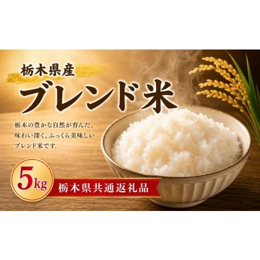 ふるさと納税 米 栃木県 真岡市 ブレンド米 5kg 送料無料 栃木県共通返礼品 ごはん 栃木県産 栃木県 真岡市 ふるさと納税