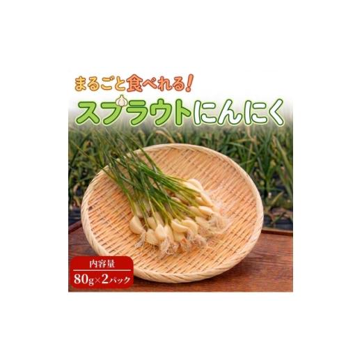 ふるさと納税 野菜類 薬味 大阪府 和泉市 9月中旬以降順次発送 まるごと スプラウトにんにく(80g×2パック) 栄養満点スーパーフード 1735498