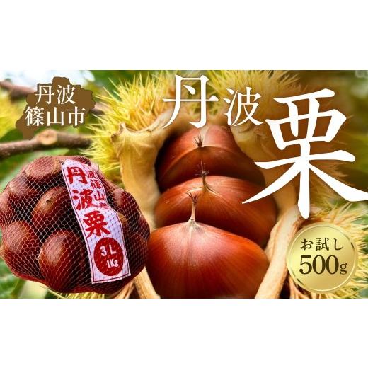 ふるさと納税 果物類 栗 兵庫県 丹波篠山市 [品評会受賞]丹波栗 お試し500g2L3L混載 温湯消毒・低温追熟 安心安全 レシピ付き クリ くり 栗ご飯 栗きんとん …
