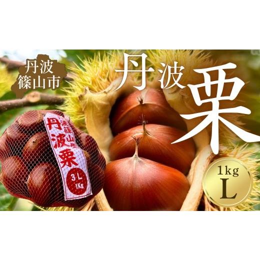 ふるさと納税 果物類 栗 兵庫県 丹波篠山市 [品評会受賞]丹波栗 L 1kg 温湯消毒・低温追熟 安心安全 レシピ付き クリ くり 栗ご飯 栗きんとん 兵庫県丹波篠…