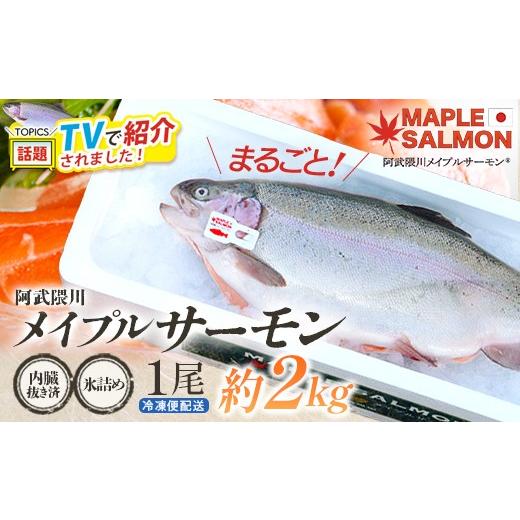 ふるさと納税 魚貝類 サーモン 福島県 西郷村 ＼ TVで紹介されました / 阿武隈川メイプルサーモン鮮魚 1本(約2kg前後) 内臓抜き 氷詰め 07461-0265 サーモ…