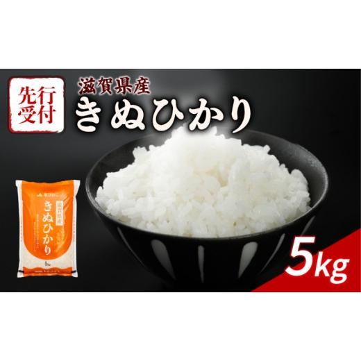 ふるさと納税 米 滋賀県 彦根市 令和8年産 先行予約 新米 きぬひかり 5kg 令和8年産 米 精米 こめ コメ お米 ご飯 米 キヌヒカリ 5キロ 令和8年 滋賀 彦根 近…