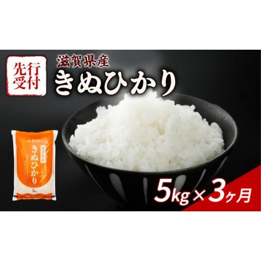 ふるさと納税 米 滋賀県 彦根市 令和8年産 先行予約 新米 きぬひかり 5kg 3回定期便 令和8年産 定期便 米 精米 こめ コメ お米 ご飯 米 キヌヒカリ 米定期便 …