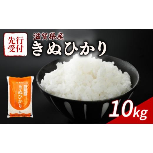 ふるさと納税 米 滋賀県 彦根市 令和8年産 先行予約 新米 きぬひかり 10kg ( 5kg ×2) 令和8年産 米 精米 こめ コメ お米 ご飯 米 近江米 キヌヒカリ 10キロ …