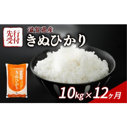 ふるさと納税 米 滋賀県 彦根市 令和8年産 先行予約 新米 きぬひかり 10kg ( 5kg ×2) 12回定期便 令和8年産 定期便 米 精米 こめ コメ お米 ご飯 米 キヌヒ…