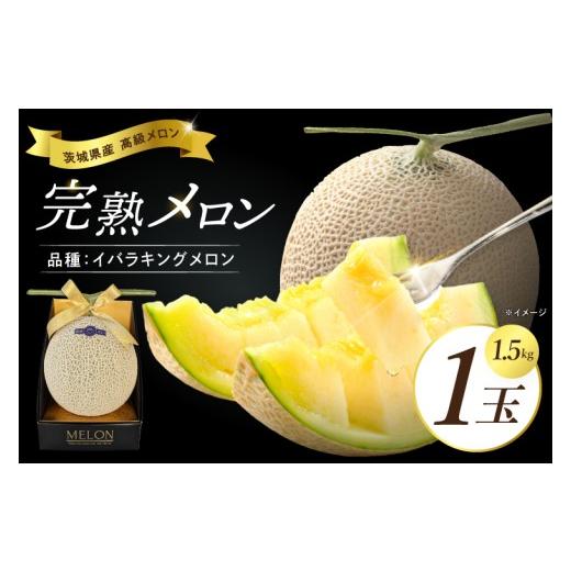 ふるさと納税 メロン 茨城県 取手市 完熟 メロン イバラキング 1玉 │ 1.5kg フルーツ 産地直送 高級 贈答用 (CK001) 1つ入り箱 1.5kg