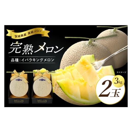 ふるさと納税 メロン 茨城県 取手市 完熟 メロン イバラキング 2玉 │ 3kg フルーツ 産地直送 高級 贈答用 (CK002) 2つ入り箱 3kg