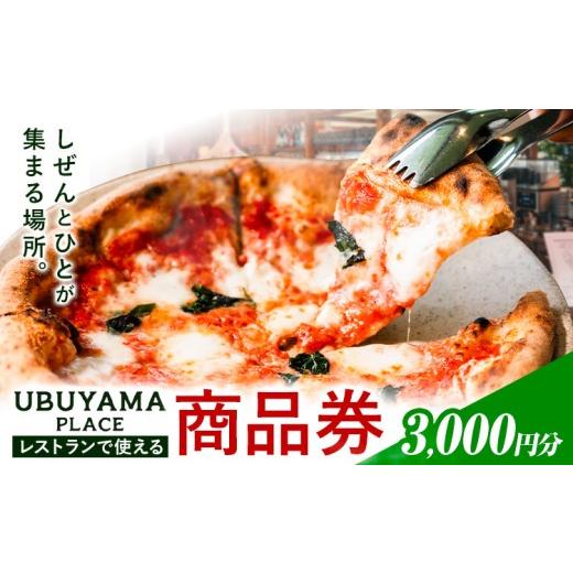ふるさと納税 お食事券 熊本県 産山村 UBUYAMA PLACE レストラン 商品券 3000円 [30日以内に出荷予定(土日祝除く)]熊本県 産山村 チケット イタリアン ピザ …