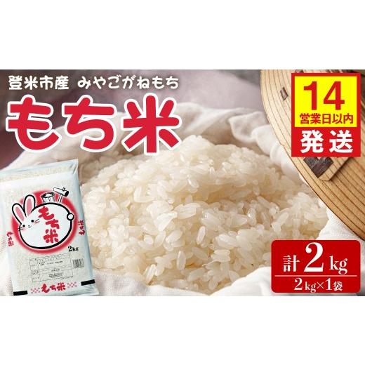 ふるさと納税 米 宮城県 登米市 14営業日以内に発送予定 もち米 みやこがねもち 2kg×1袋 精米 お米 おこめ 米 コメ もち モチ モチ米 おこわ 餅 おもち 赤飯…